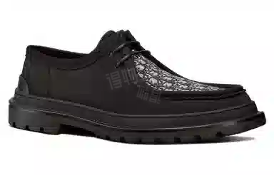DIOR Dior Explorer