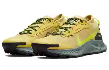 Nike Pegasus Trail 3 GTX