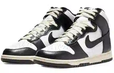 Nike Dunk "Vintage Black"