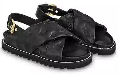 LOUIS VUITTON Paseo Comfort