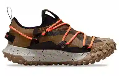 Nike ACG Mountain Fly Low GTX SE Brown