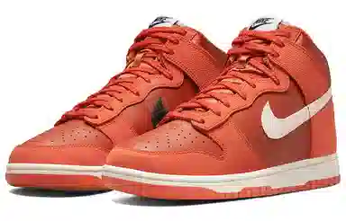 Nike Dunk EMB