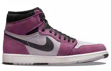 Jordan Air Jordan 1 Element GORE-TEX "Berry"