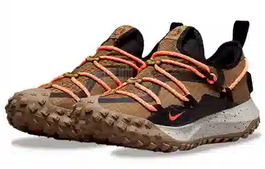 Nike ACG Mountain Fly Low GTX SE Brown