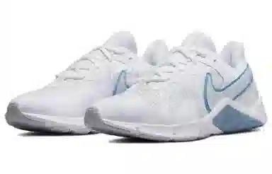 Nike Legend Essential 2
