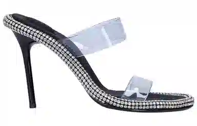 alexander wang PVC 10.5cm