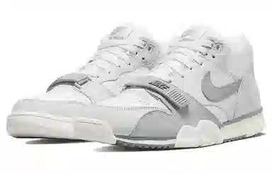 Nike Air Trainer 1 "Photon Dust"