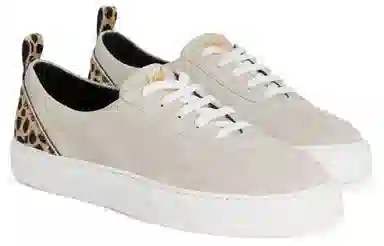 giuseppe zanottiGZ Zenas