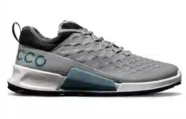 ecco