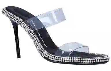 alexander wang PVC 10.5cm