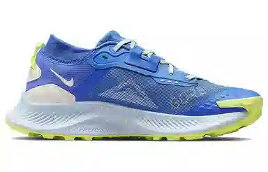 Nike Pegasus Trail 3 Gore-Tex Blue