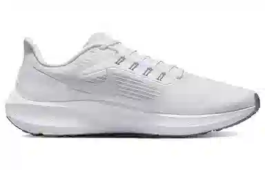 Nike Air Zoom Pegasus 39 White Grey