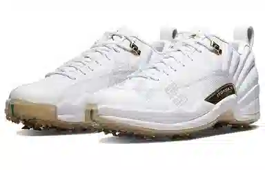 Jordan Air Jordan 12 Low Golf NRG M22 "Metallic Gold"