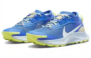 Nike Pegasus Trail 3 Gore-Tex Blue