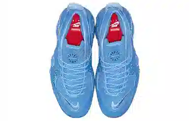 Supreme x Nike Zoom Flight 95