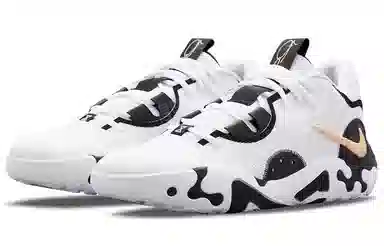 Nike PG 6 EP