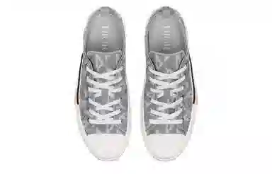 Dior B23