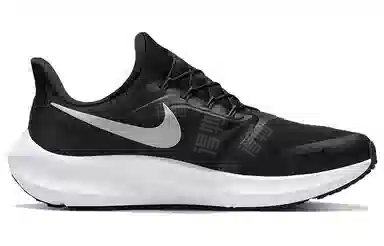 Nike Pegasus FlyEase