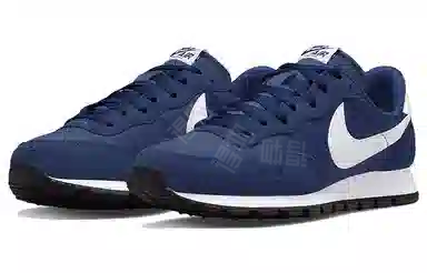 Nike Air Pegasus