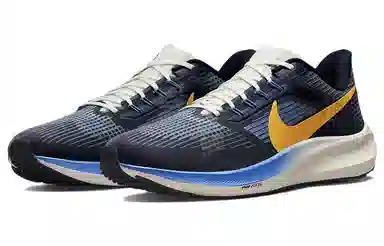Nike Air Zoom Pegasus 39 premium
