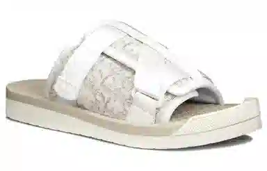 DIOR Alpha