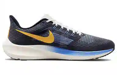 Nike Air Zoom Pegasus 39 premium