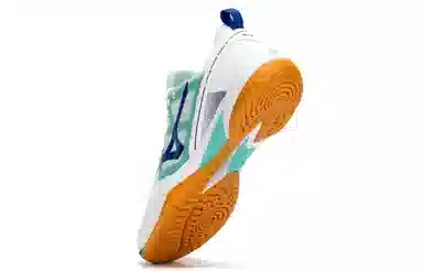 Mizuno Wave Fang Zero