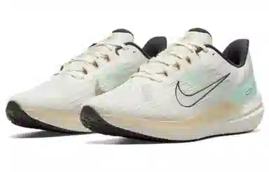Nike Zoom Winflo 9