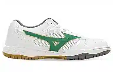 Mizuno School Indoor