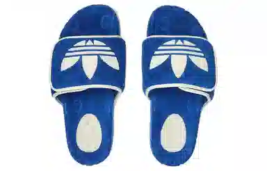 adidas originals x GUCCI