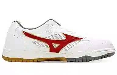 Mizuno School Indoor