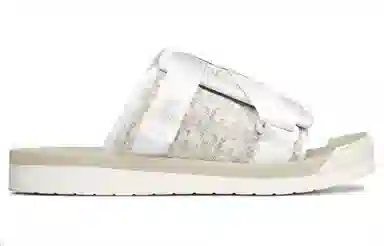 DIOR Alpha