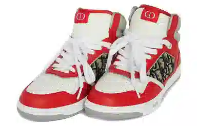 DIOR B27