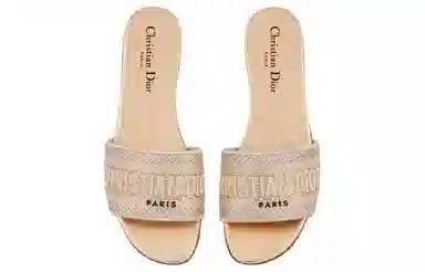 DIOR Dway