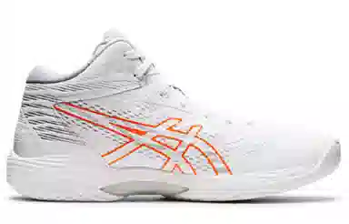 Asics Gel-Hoop V14