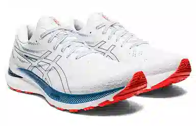 Asics GEL-KAYANO 29 White