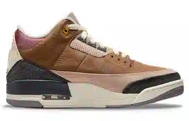 Jordan Air Jordan 3 Retro SE "Archaeo Brown"
