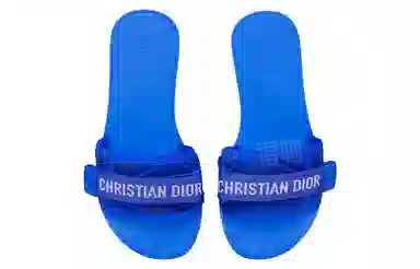 DIOR Dio(r)evolution