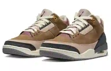 Jordan Air Jordan 3 Retro SE "Archaeo Brown"
