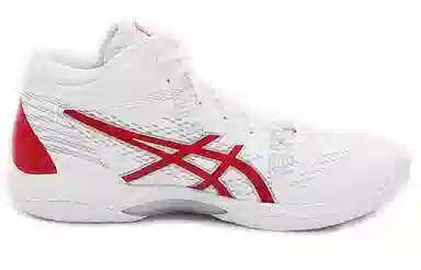 Asics Gel-Hoop V14