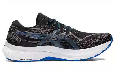 Asics GEL-KAYANO 29