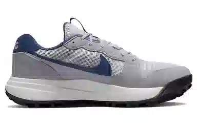 Nike ACG Lowcate Grey