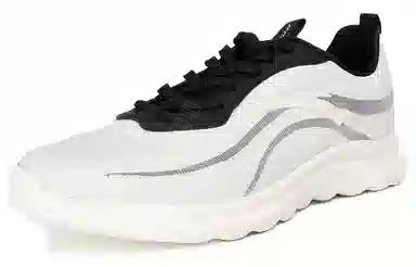 Anta