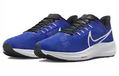 Nike Air Zoom Pegasus 39