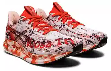 Asics Noosa Tri 14