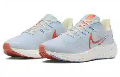 Nike Air Zoom Pegasus 39