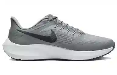 Nike Air Zoom Pegasus 39