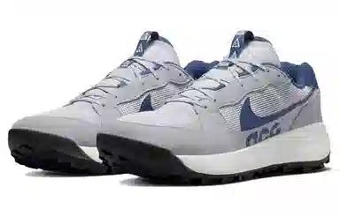 Nike ACG Lowcate Grey
