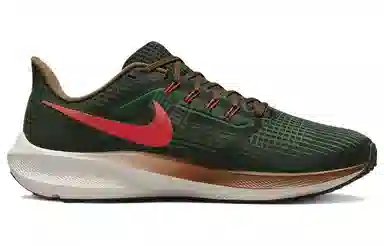 Nike Air Zoom Pegasus 39 "A.I.R. Hola Lou"
