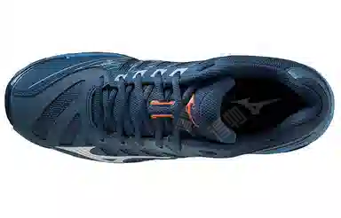 Mizuno Wave Voltage